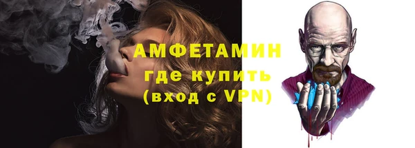 шишки Заволжье