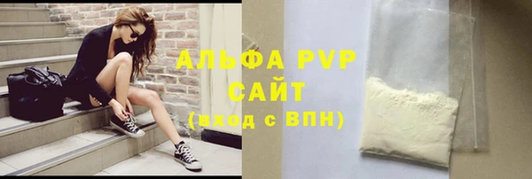 шишки Заволжье