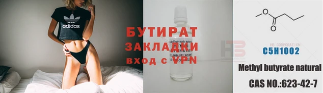 шишки Заволжье