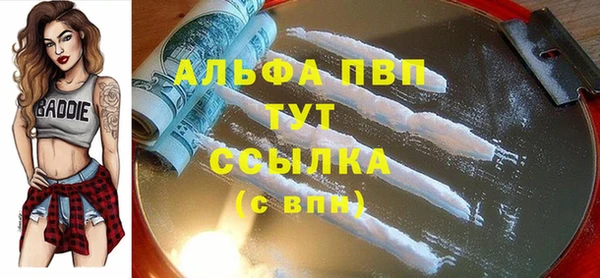 шишки Заволжье