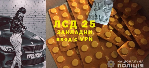 шишки Заволжье