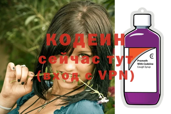шишки Заволжье