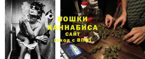 шишки Заволжье