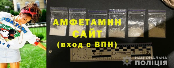 шишки Заволжье