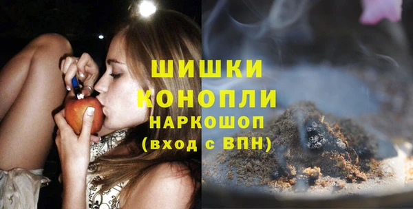 хмурый Ельня