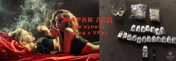 шишки Заволжье