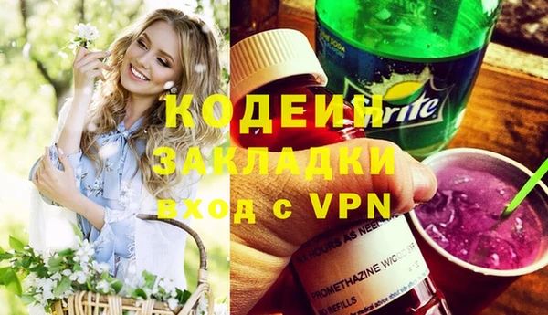 шишки Заволжье