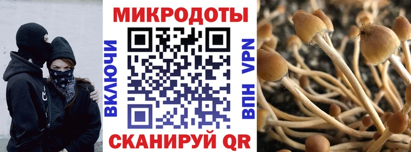 Псилоцибиновые грибы GOLDEN TEACHER  Новочеркасск 